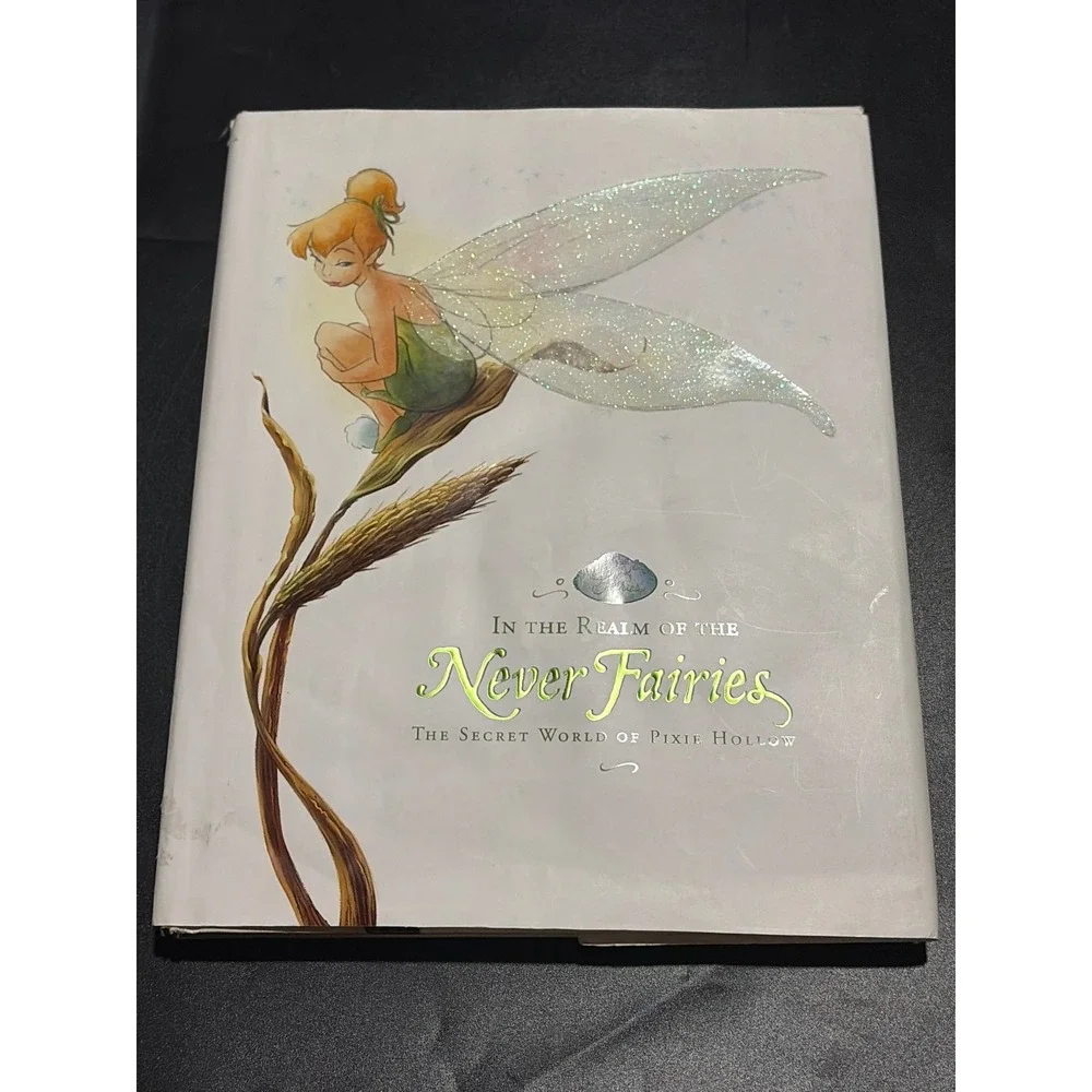 Disney In the Realm of the Never Fairies Pixie Hollow 1st Ed Tinker Bell HC DJ